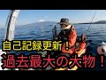【大物高級魚降臨】静岡海釣り遠征3月下旬 🌸