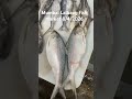 #mumbai #fishmarket #shortvideo #viralreels #ytshorts