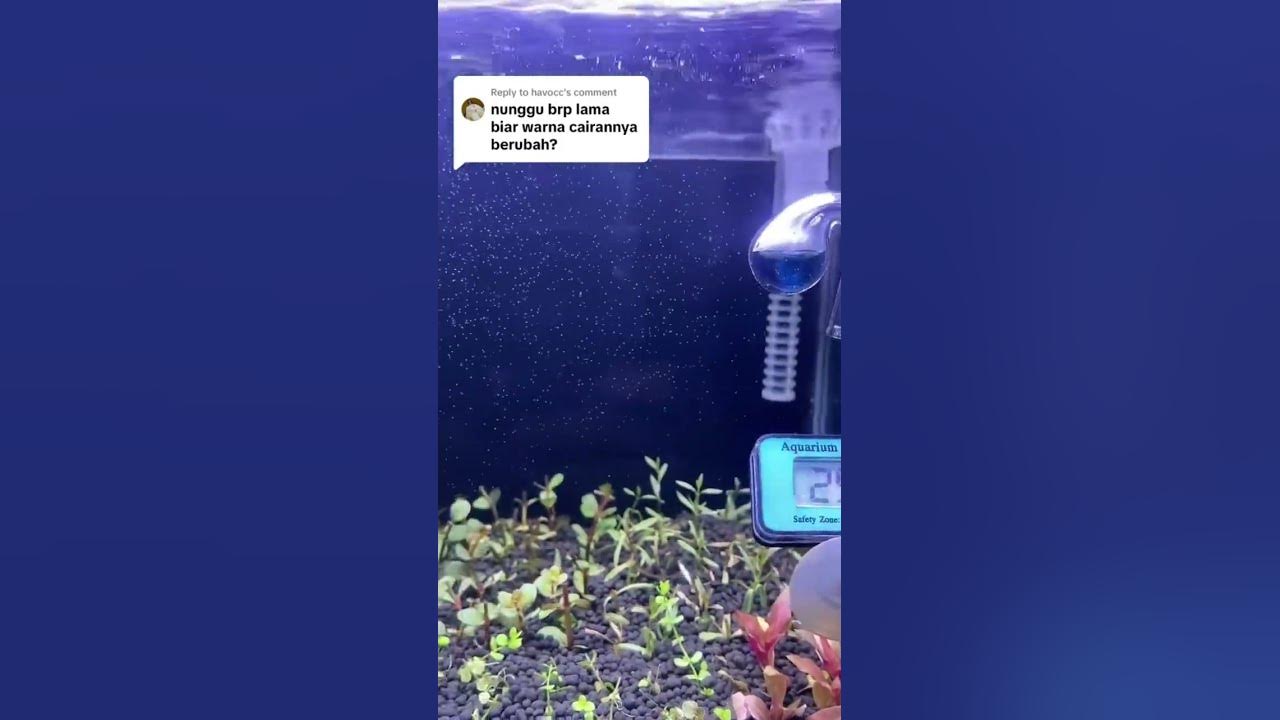 Warna indikator co2 #indikator #co2 #vivaria #co2aquascape #co2aquarium #aquascape