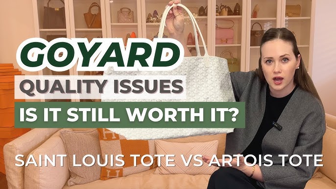 Goyard Artois MM Sky (Light) Blue Bag Review: Wear and Tear