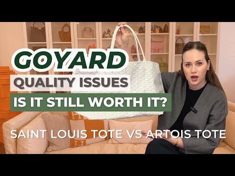 GOYARD ST. LOUIS TOTE PM  unboxing, first impressions, mod shots, distance  sale experience 