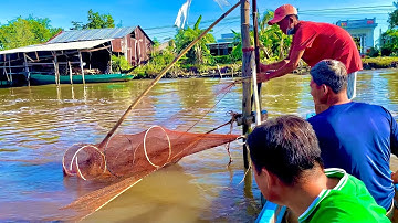 Dở Chàng Hảng Thu Hoạch Cá Tôm Trên Sông Nước U Minh • UMQT | # 34