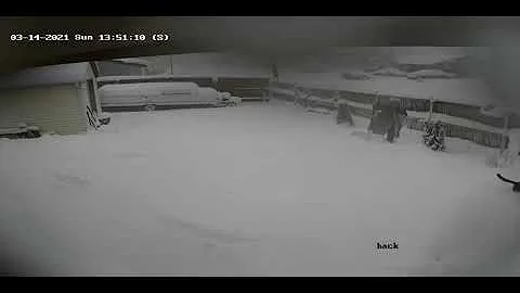 Big snowstorm - March 14, 2021 - Wheat Ridge, CO. ...