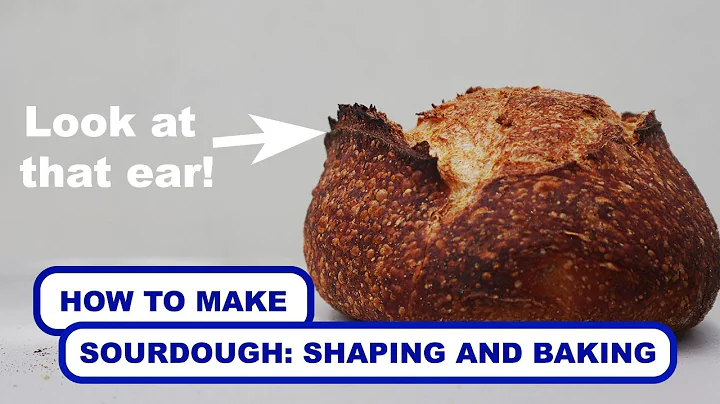 How To Make Sourdough: Shaping, Proofing, and Baking