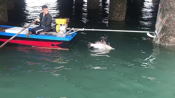 Bắn cá Vược khủng ở Quảng Ninh