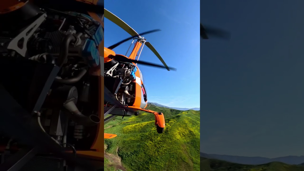 Wild Yellow Flowers by Gyroplane