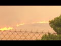 Horses in Greece flee from wildfire