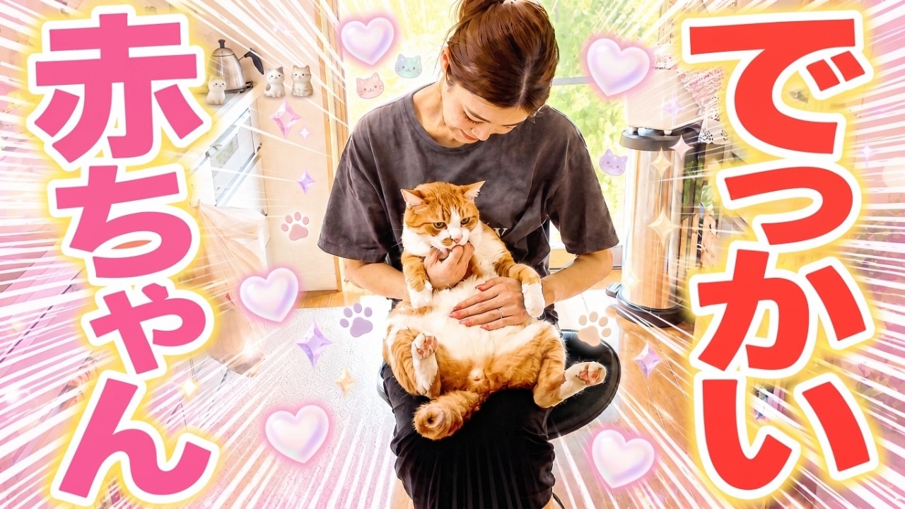 My oldest cat becomes a baby the moment I pick him up—he's just