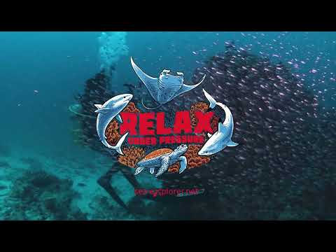 Dive at Reethi Faru House Reef Sea Explorer Maldives