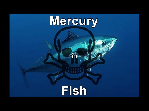 Mercury, home lab