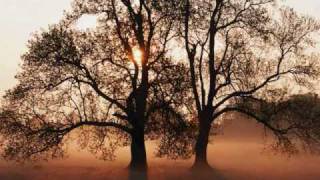 The Rite of Spring Parts 1-3