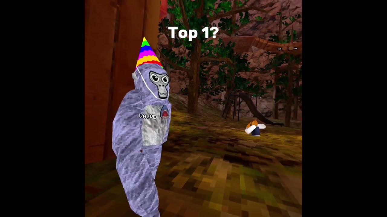 Top 1 Ground Gorillatag