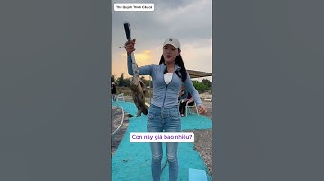 Ăn nhà hàng không có tiền đòi đổi cá và cái kết - p2 #fishing #cauca #caucagiaitri #câucá