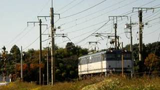 ＥＦ６５－１０５５ ＪＲ貨物２次更新車色、単機回送。