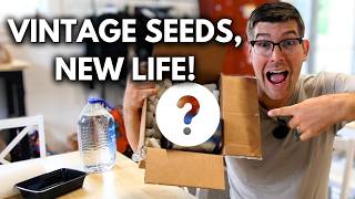 It’s Like a Time Capsule! SUPER COOL Old Seeds!