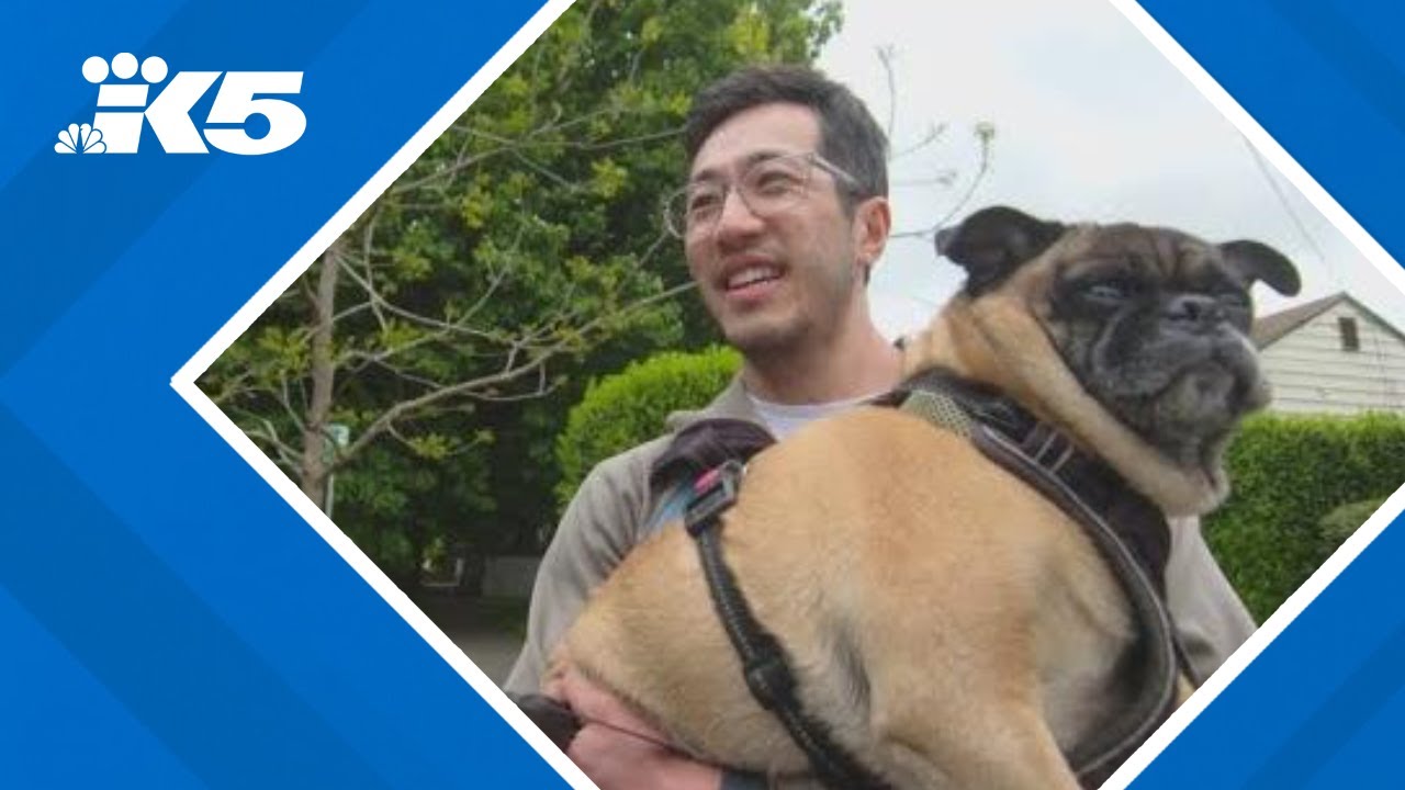 Georgetown pet owners relieved after arrest in 2023 animal cruelty case