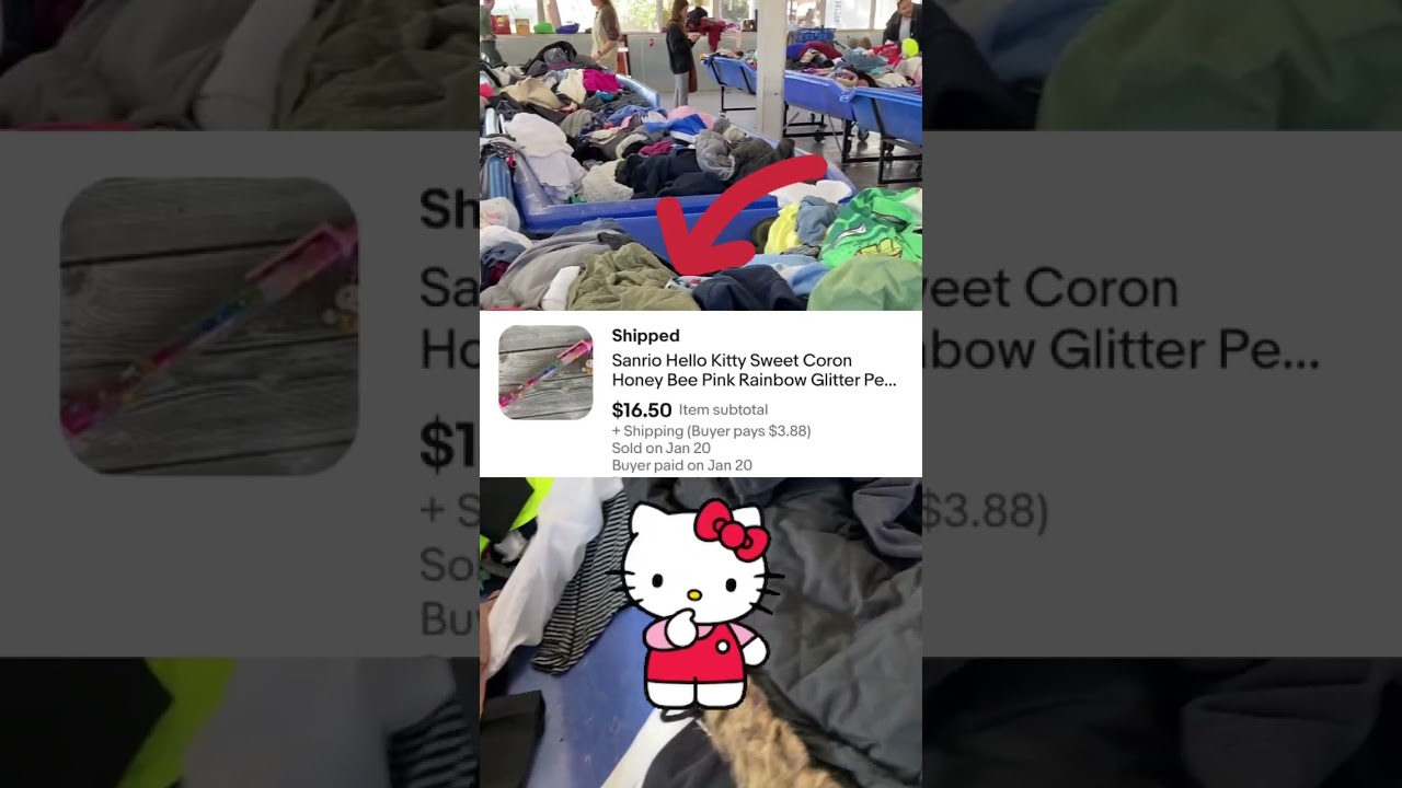 rewrite this title Flipping Hello Kitty For Profit on EBay! From Bins to Bucks! rewrite this title Flipping Hello Kitty For Profit on EBay! From Bins to Bucks!