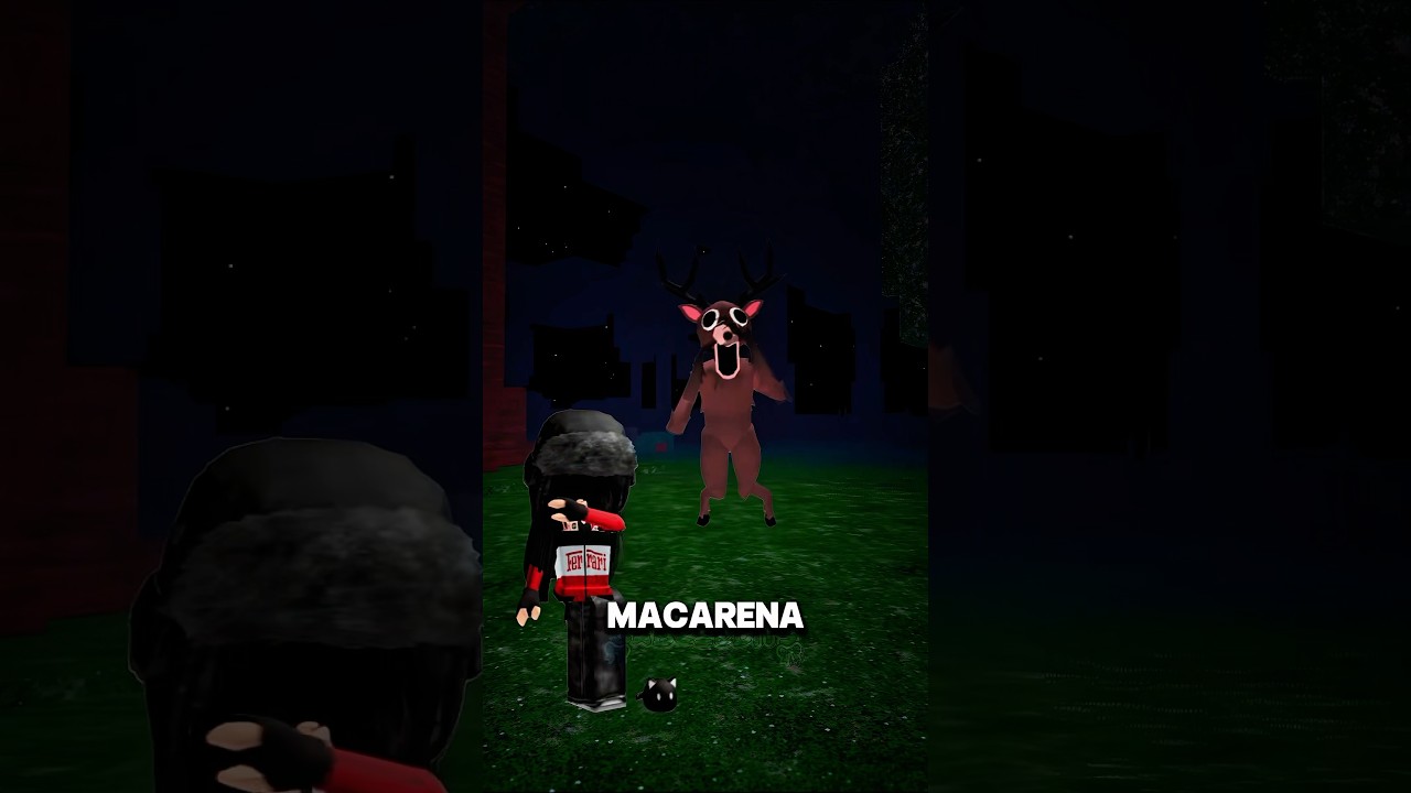 If u see a dog doing the Macarena on its hind legs at 3am on your ringdoorbell 