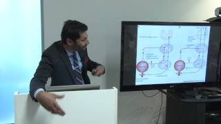 Keep Memory Alive - Urology in the Golden Years