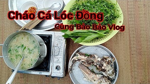 Cá Lóc NấU Cháo