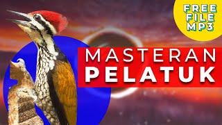 MASTERAN PELATUK SPEED RAPAT | TERBUKTI AMPUH