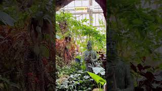 A tropical paradise hidden in Vienna 🇦🇹Have you been here before?#vienna #austria #travelvienna