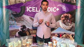 Icelandic+ Cod Skin Rolls Dog Treat