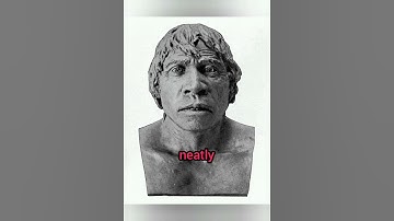 The Piltdown Man: A Fossil Fraud#short#ytshorts#fraud#hoax#facts#archeology#palentology