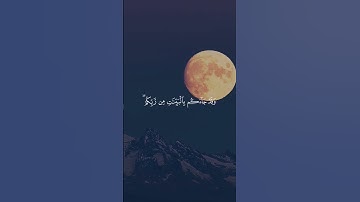 الآية 28 من سورة غافر - القارئ مشاري العفاسي#قرأن #سورة_غافر #ريل #ريلز #ترند #قران_كريم #العفاسي