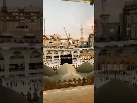 يرتوي بالحب قلبي