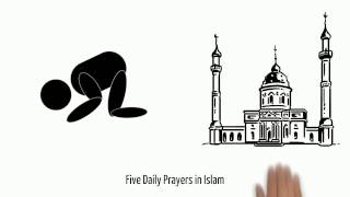 How many times do Muslims pray in a day?