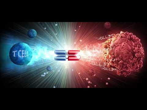 Amgen BiTE® Molecule