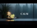 Deep Relaxing Music 🌙 Calm Ambient Sounds for Sleep, Stress Relief & Meditation