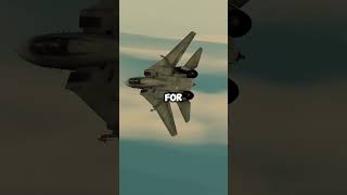 Why Do Fighter Jets Have Swing Wings?