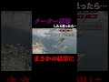 チーターと出会ってしまったと思ったらまさかの結果になった#shorts