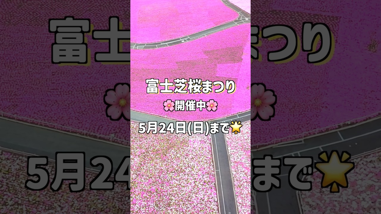 【絶景】富士本栖湖リゾート🌸