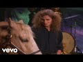 Cowboy junkies  a horse in the country official