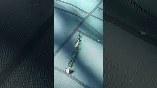 Pool inspection fail safety cover fail rough stone pool coming need protection for cover #tips