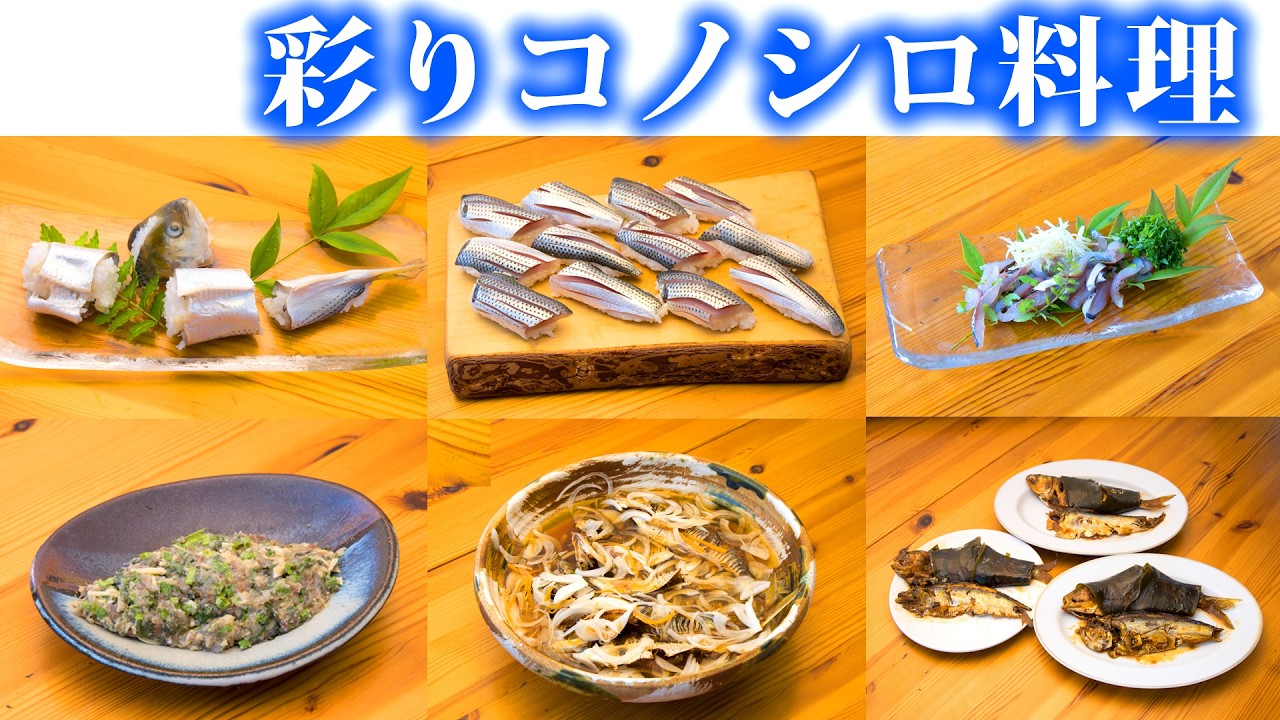 今年88歳の母と釣ったコノシロ料理、姿寿司・握り寿司・刺身・なめろう・南蛮漬け・甘露煮・昆布巻き