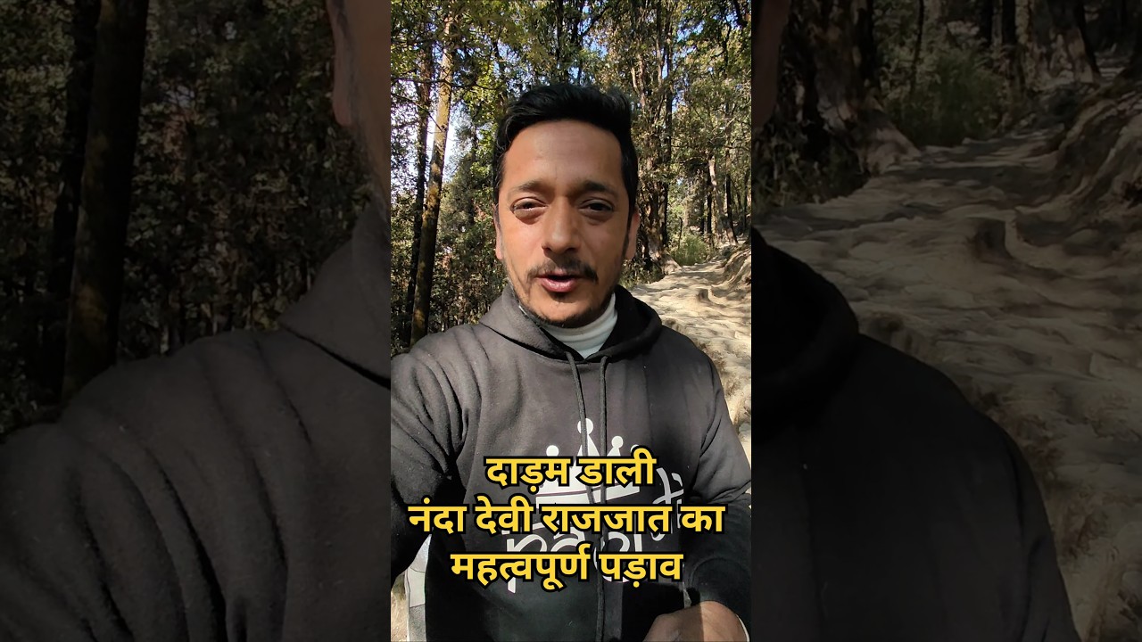 दाड़म डाली नंदा देवी राजजात का प्रमुख पड़ाव | #4k #travel #roopkundtrek #minivlog #shorts