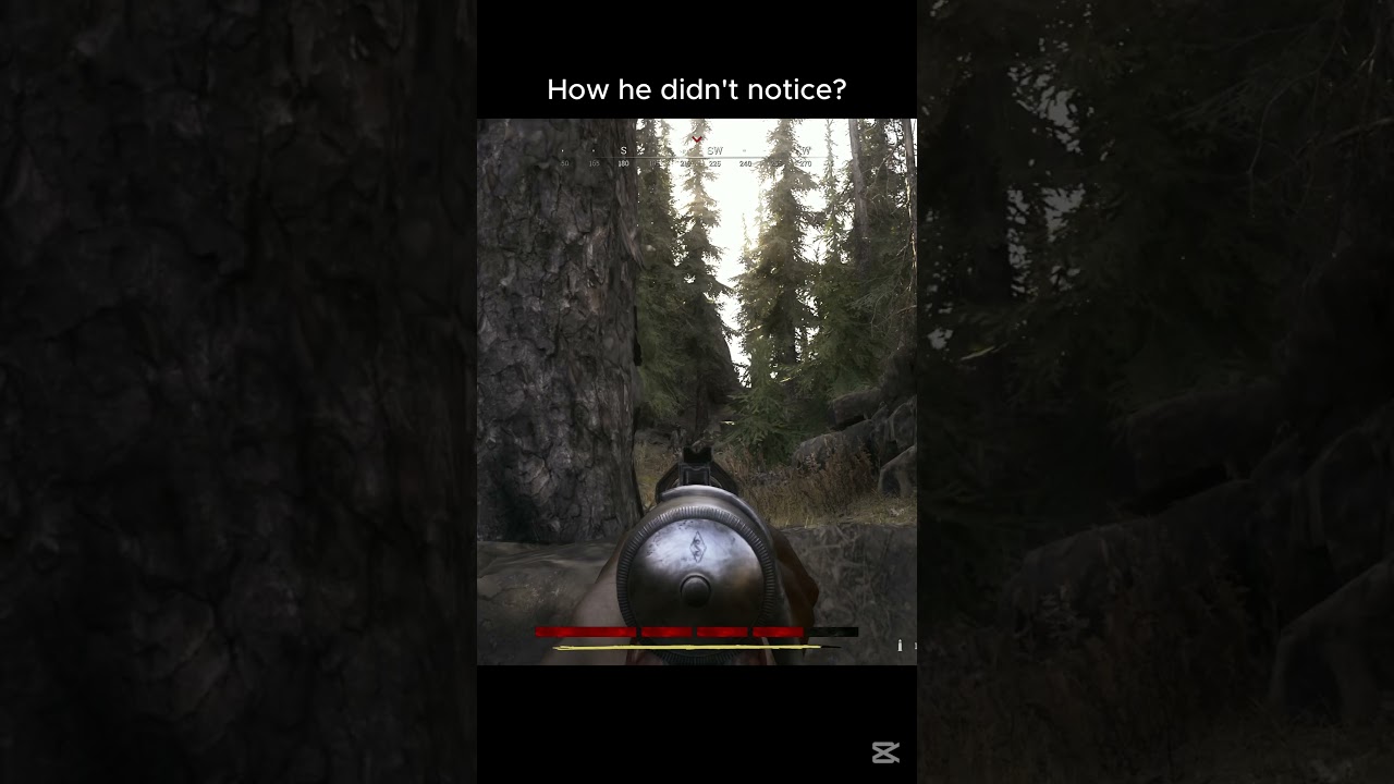 How he didn't notice? - Soul Survivor | Hunt Showdown 1896 