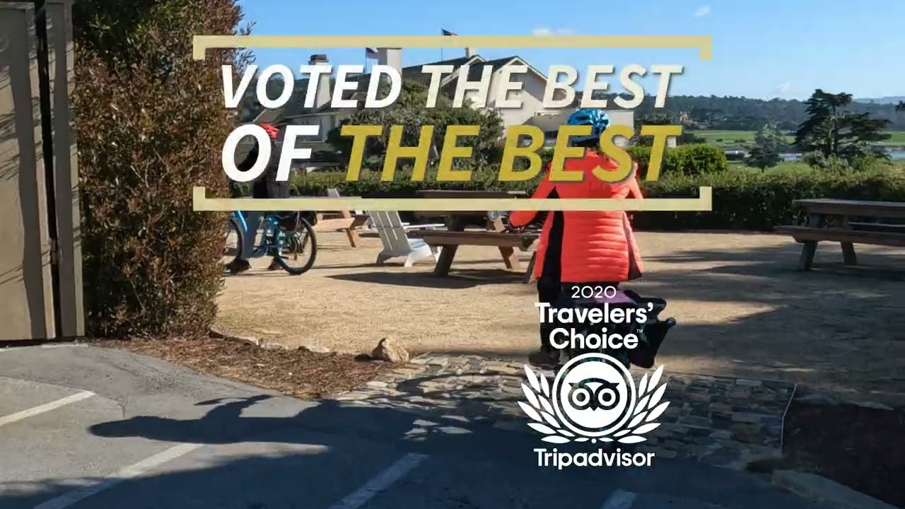 Reserve your spot today, our Guided Experiences sell FAST🚲