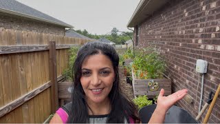 JUNE Kitchen Garden Tour 🍅🫑🌽 Zone 8B
