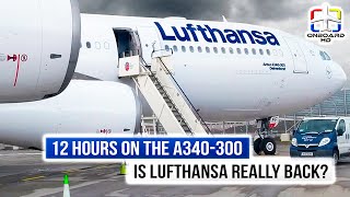 TRIP REPORT | First Time on Lufthansa A340 | Frankfurt to Los Angeles | Lufthansa Airbus A340300