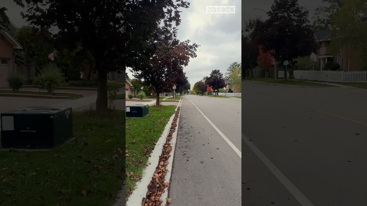 Me, Wind, and Leaves — Walking Through the Gentle Symphony of Canadian Fall 🍁