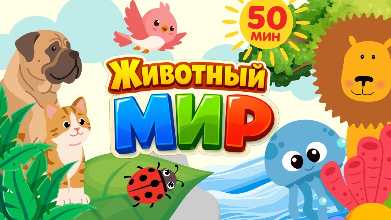 🦁 Животный Мир 🐬 | Животные, Птицы и Насекомые для детей