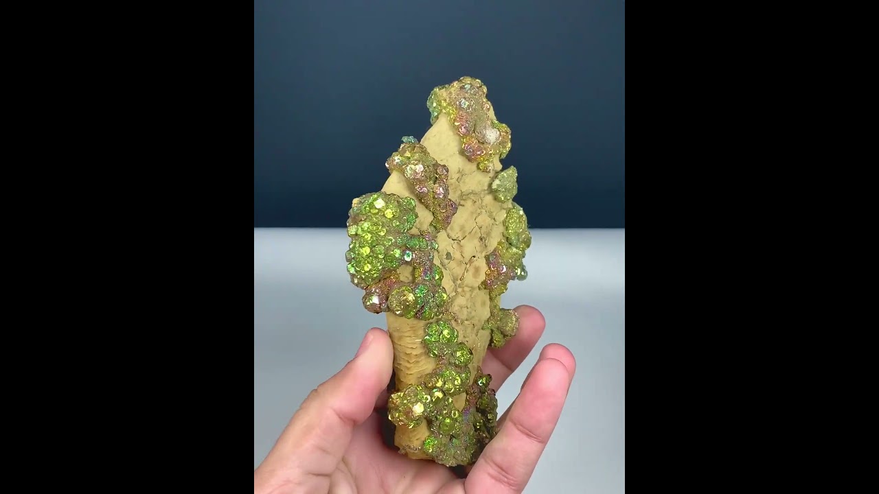 Rainbow Pyrite on Limonite | 