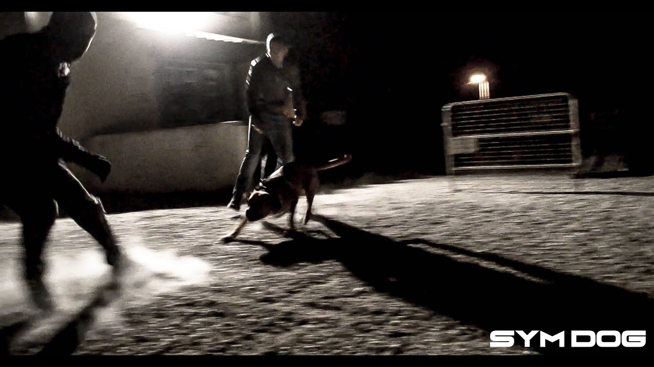 CHIEN DE GARDE - YouTube CHIEN DE GARDE - YouTube