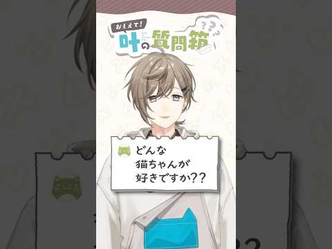 叶の質問箱＃05「どんな猫ちゃんが好き？」