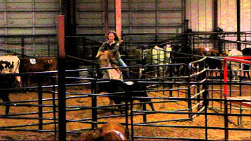 Play With My Cat - sorting practice 3 - Valley View Ranch